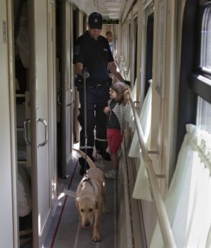 Новости » Общество: Поезда в Крым будут обнюхивать служебные собаки