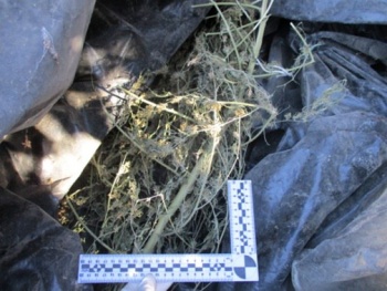 У крымчанина оперативники изъяли более двух килограммов наркотиков