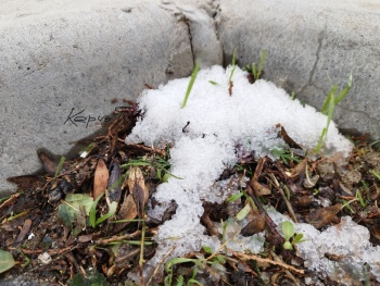 Новости » Общество: В Керчи первый снег не пошел, а сразу повалил