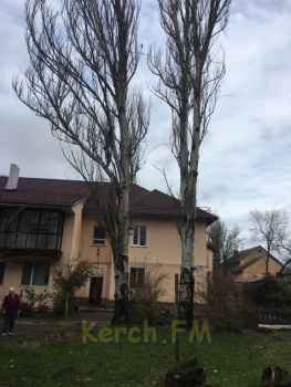 Новости » Криминал и ЧП: Керчане два шторма подряд пережили падающие деревья на детскую площадку
