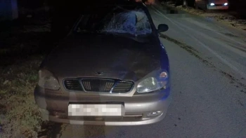 Новости » Криминал и ЧП: На трассе "Таврида" автомобиль сбил мужчину