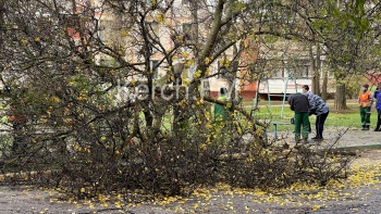Новости » Общество: В Керчи убирают последствия урагана