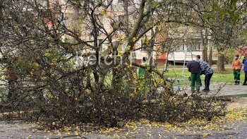 В Керчи убирают последствия урагана