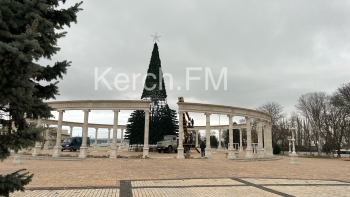 Новости » Общество: В Керчи почти собрали главную новогоднюю елку города