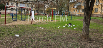 Новости » Общество: Керчане попросили убрать аварийное дерево, нависшее над детской площадкой
