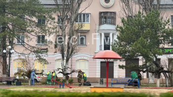 Новости » Общество: На Кирова зеленхоз проводит обрезку низких деревьев