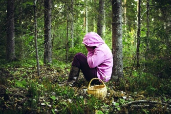 Новости » Общество: Крымские спасатели 15 часов искали в лесу заблудившуюся женщину