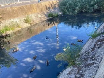 Новости » Общество: Крым ждет подъем уровня рек на 1,5 метра из-за обильных осадков