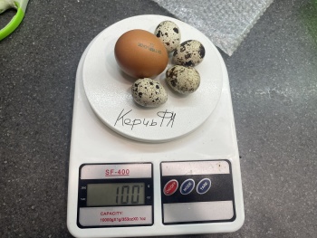 Новости » Общество: После подорожания яиц куриных керчане стали чаще покупать яйца перепелиные