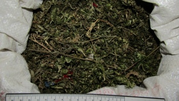 У крымчанина нашли 12 килограммов конопли