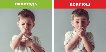 Новости » Общество: В Крыму растет количество детей с тяжелым течением коклюша и осложнениями