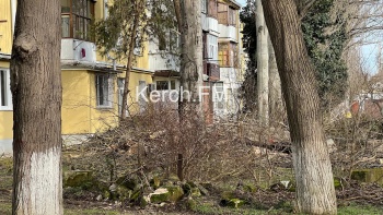 Новости » Общество: На Парковой,2 около жилого дома спилили аварийные деревья