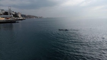 Новости » Криминал и ЧП: У побережья Ялты сотрудники МЧС спасли женщину