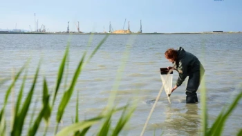 Новости » Общество: В Крыму будут готовить специалистов в области водных биоресурсов и аквакультуры