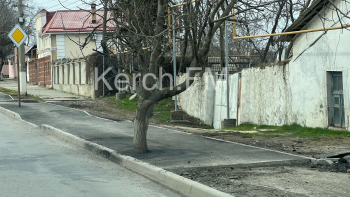 Новости » Общество: На Чкалова на тротуаре деревья закатали в асфальт