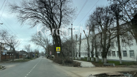 Новости » Общество: Администрация Керчи обещает заасфальтировать тротуары на Фурманова до 1 июня