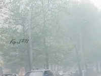 В район Войкова в Керчи с моста нагнало туману