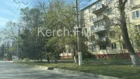 Новости » Общество: Газоны вдоль дорог в Керчи приводят в порядок