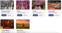 Новости » Общество: В Крыму разработали карту и календарь цветений для туристов