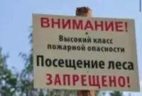 В Крыму ввели ограничения на посещение лесов до 14 апреля