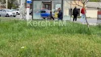 Новости » Общество: Глава Керчи не видит в городе травы по пояс