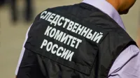 Новости » Криминал и ЧП: Мать и сын из Крыма обвиняются в организации заказного убийства по найму
