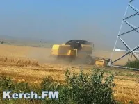Урожай зерновых в Крыму будет зависеть от дождей в ближайшие недели
