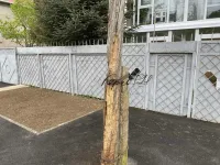 Новости » Общество: За 5 лет деревянный столб на Дейкало в Керчи съели жуки