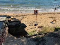 Новости » Общество: Администрация Керчи предоставила список опасных мест для купания