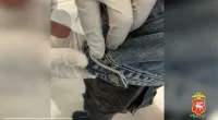 Полиция Керчи нашла наркотики в хлястике от куртки