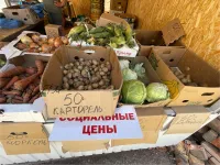 Цены на продукты на рынках в Аршинцево в Керчи