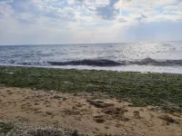 Новости » Общество: Пляжи Феодосии открыты для купания