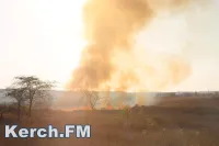 Новости » Общество » Экология: В Крыму в пять раз увеличилось число природных пожаров
