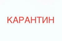 Школу в Керчи закрыли на карантин из-за микоплазменной пневмонии