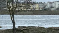 Водоемы в Керчи покрываются льдом